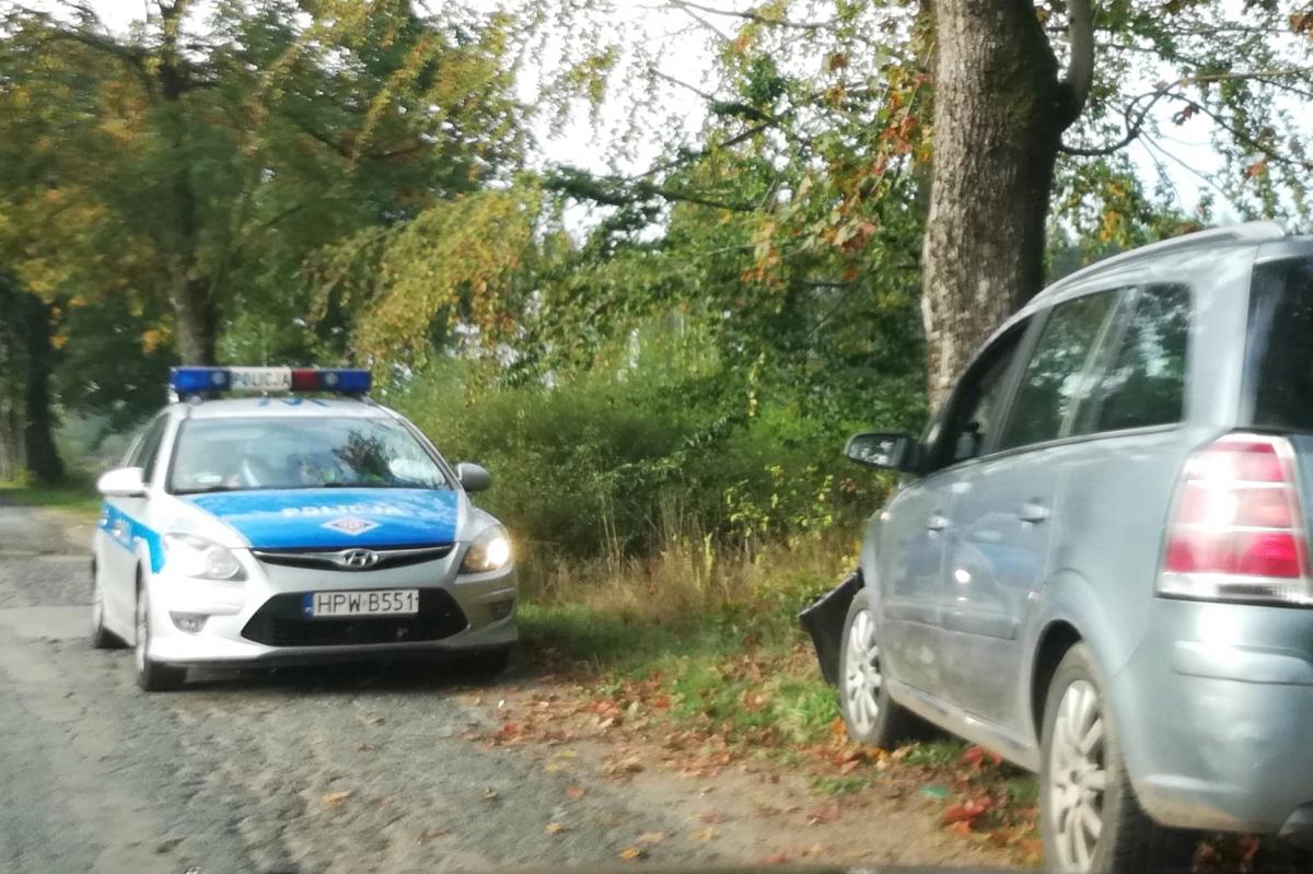 Samochód uderzył w drzewo. Kobieta w szpitalu 