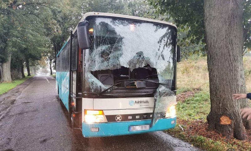 Jeleń zderzył się z autobusem 