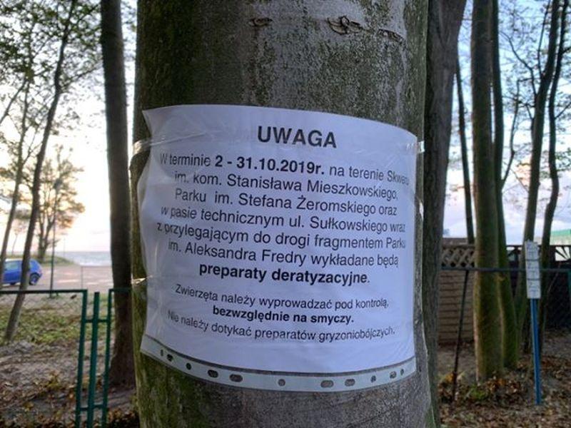 Uwaga! Trzymajcie psy na smyczy! Nad morzem pojawiły się trutki