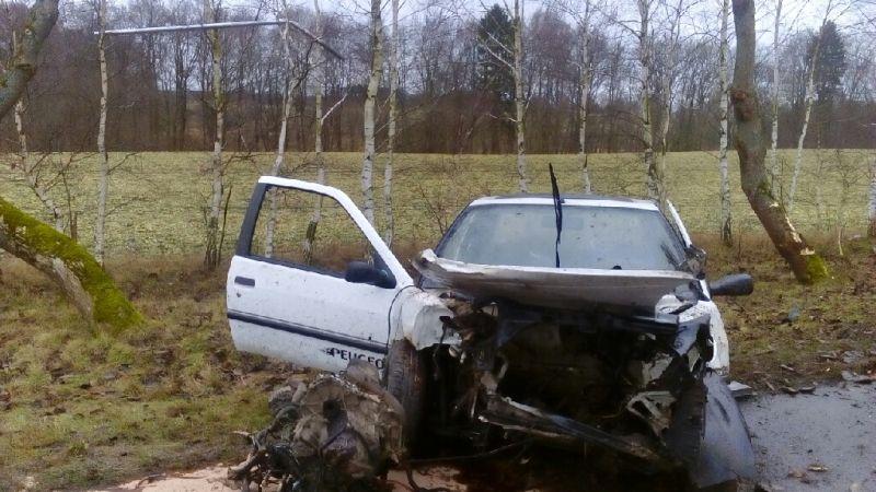 Samochód uderzył w drzewo – wypadł z niego silnik (foto)