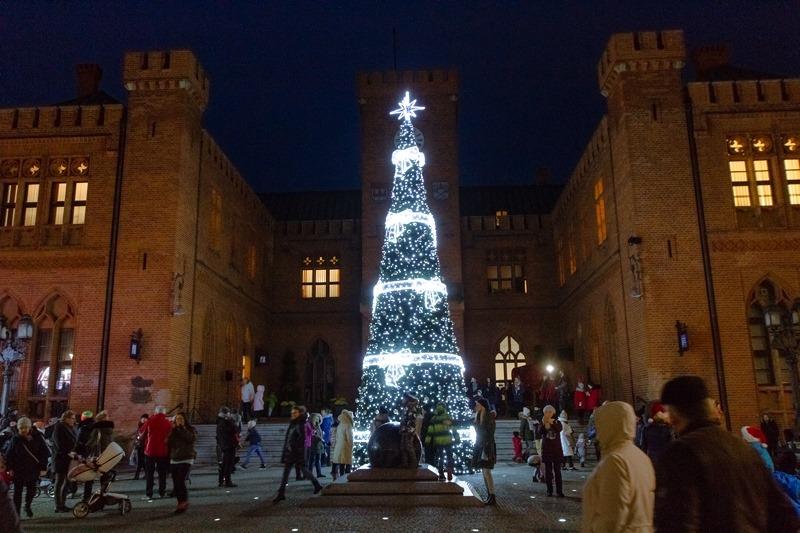 Iluminacja choinki w Kołobrzegu