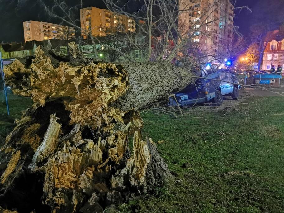Drzewo zmiażdżyło jeden i poważnie uszkodziło drugi samochód (Foto,video)