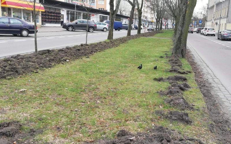 Ruszyła inwestycja przy Jana Pawła II. Ulica przejdzie całkowitą metamorfozę. Czy będzie wyglądać lepiej?