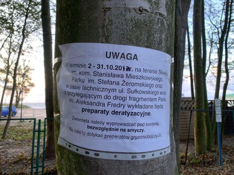 Wkrótce rusza deratyzacja. Uważajcie na swoje zwierzęta