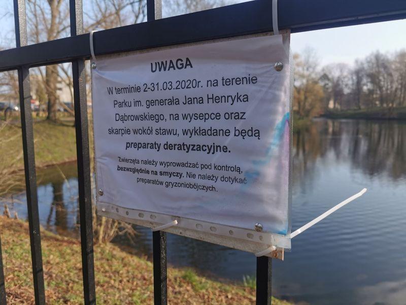 Trwa deratyzacja. Uważajcie na swoje zwierzęta 