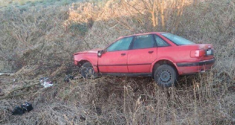 Kobieta poszkodowana w wypadku. Chciała uniknąć zderzenia ze zwierzęciem