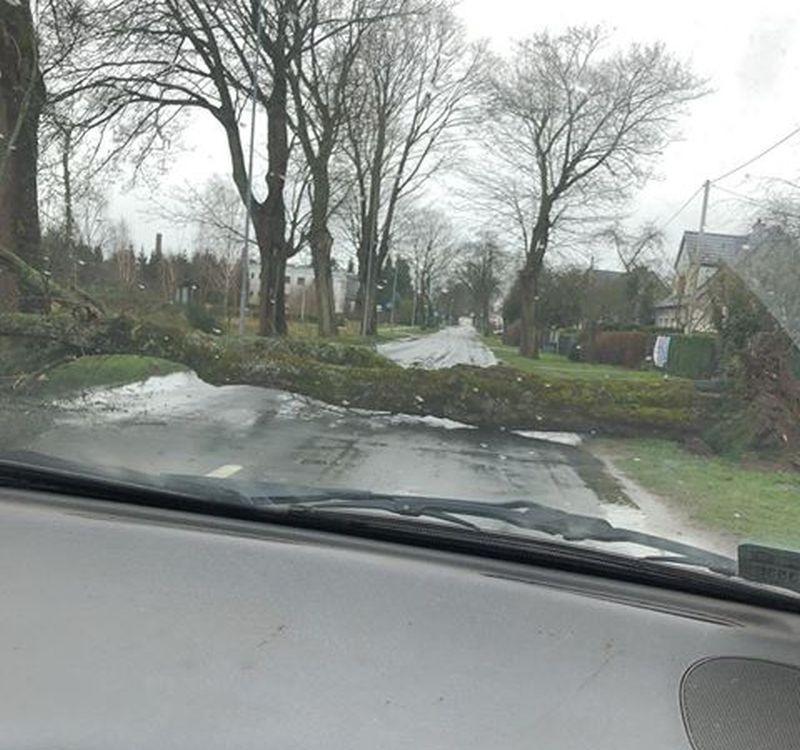Silny wiatr nad Kołobrzegiem. Najprawdopodobniej jest jedna poszkodowana osoba
