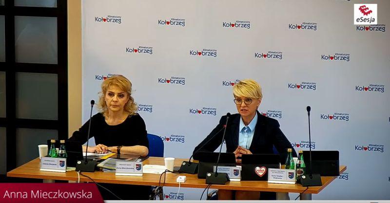 Nadzwyczajna sesja Rady Miasta online na naszym portalu