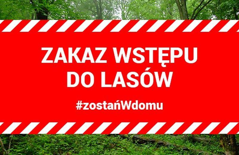 Wprowadzono zakaz wstępu do lasów
