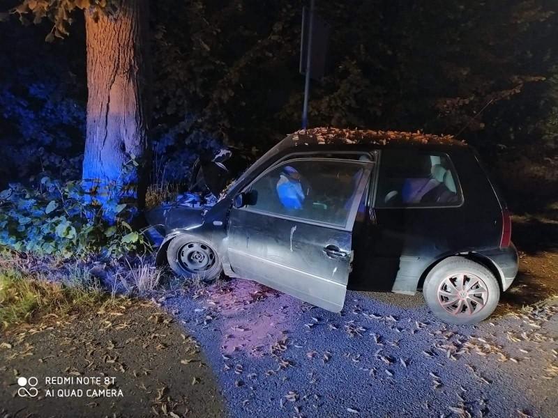 19-latek zjechał z drogi i uderzył w drzewa