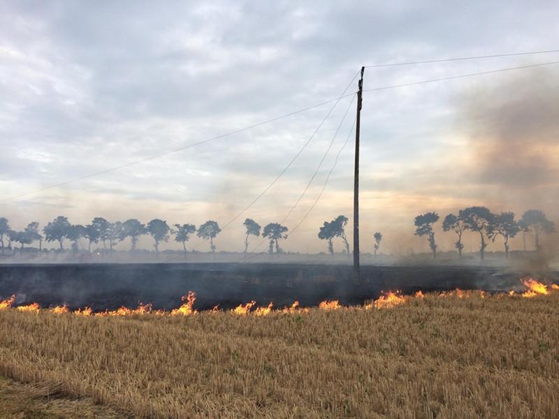 Linię energetyczną zerwała wywrotka. Iskry wywołały pożar