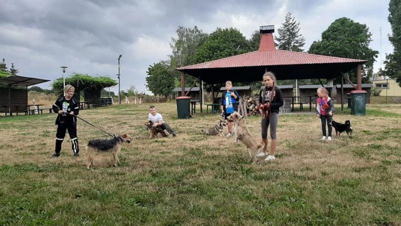 Dzieci wyprowadzają psy ze schroniska 