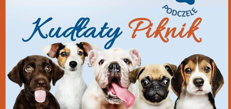 Kudłaty Piknik w Podczelu
