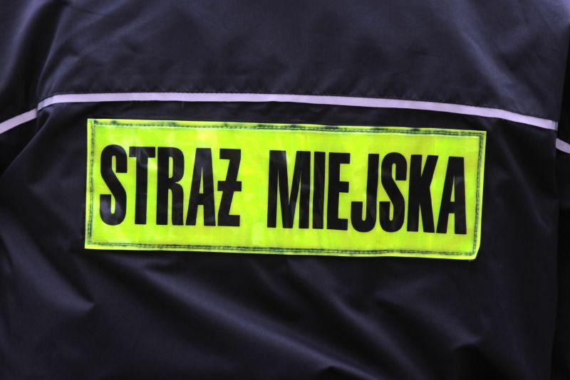 Zaatakowali strażników miejskich