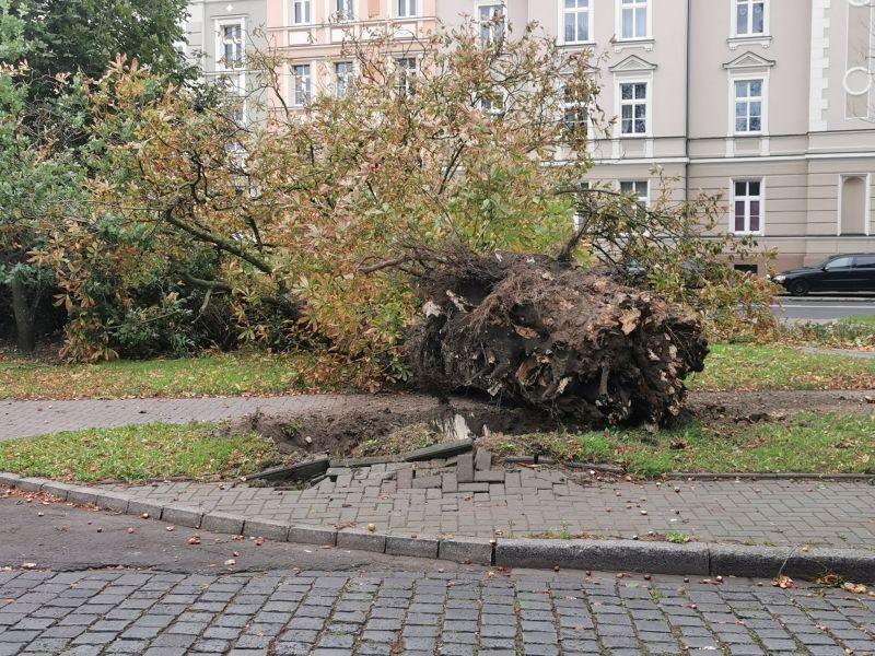 Wiatr przybiera na sile. Pierwsze zniszczenia (Foto)