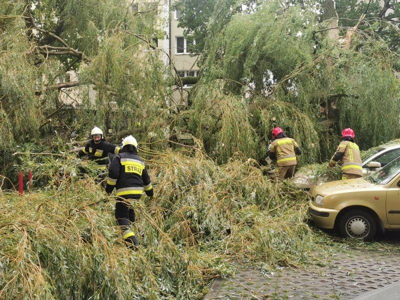 Drzewo spadło na cztery samochody (Foto)