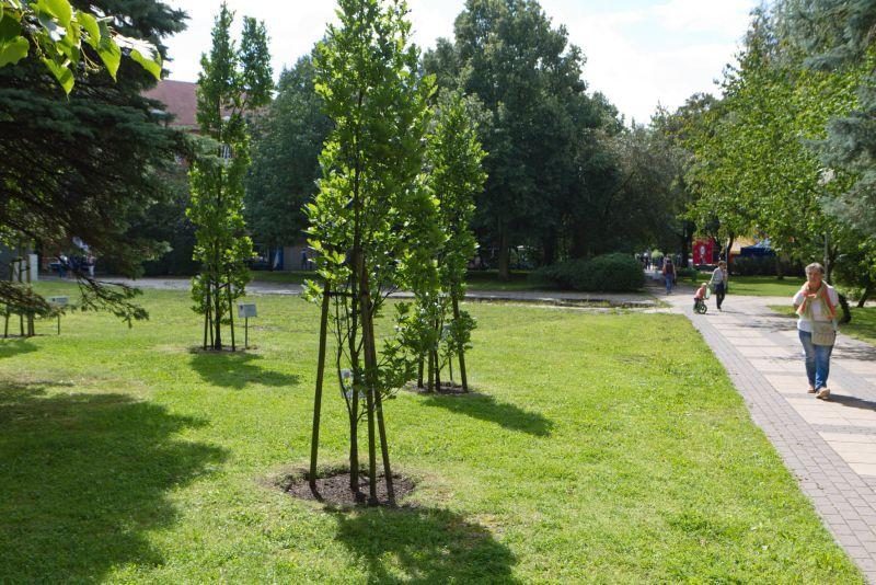 Przy Skwerze Pionierów stanie głaz upamiętniający ofiary Katynia i innych miejsc kaźni? Jest wniosek stowarzyszenia