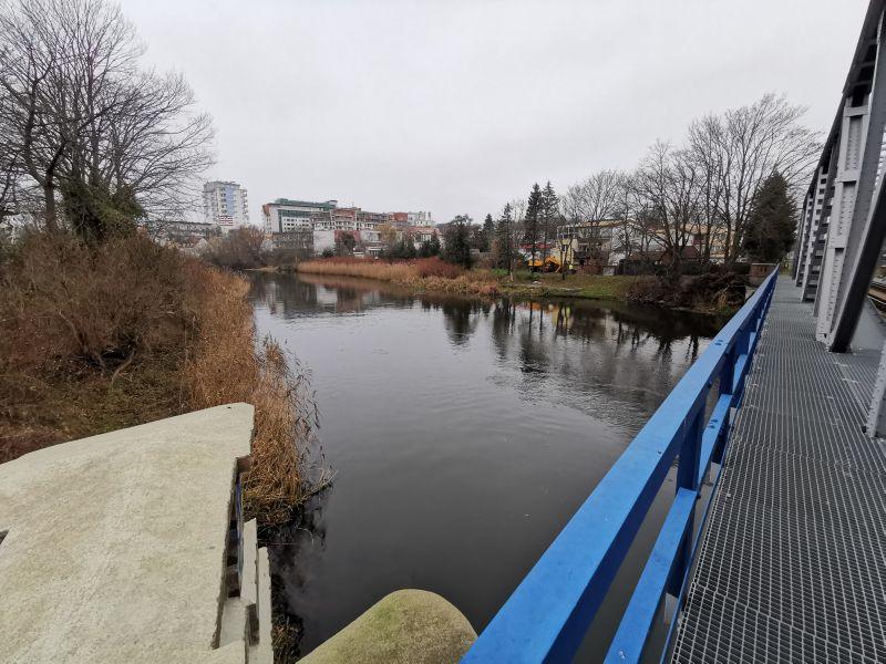 Wędkarze alarmują: w centrum miasta odbywa się nielegalny połów ryb 