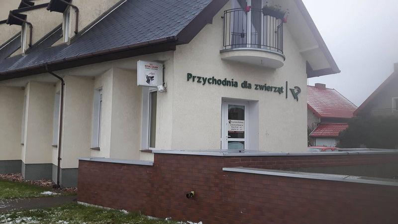 Całodobowa opieka weterynaryjna. Zgłosiła się jedna firma