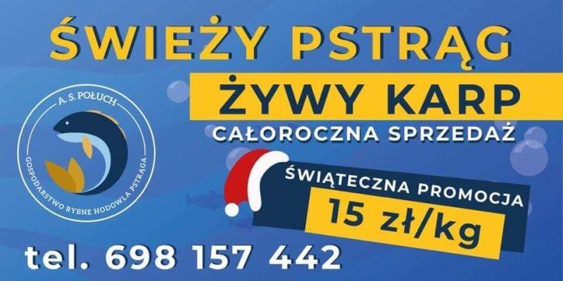 Lubisz ryby? Mamy dla Ciebie specjalną ofertę