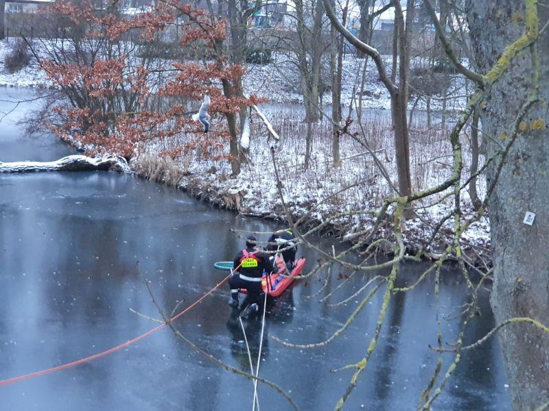 Nietypowa akcja strażaków w Parku Dąbrowskiego