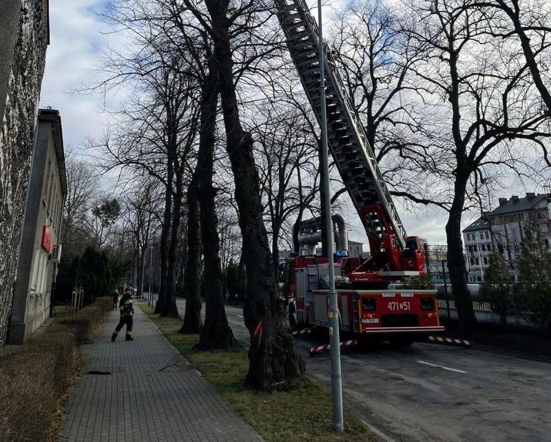 Drzewo mogło runąć na budynek uzdrowiska. Interweniowali strażacy