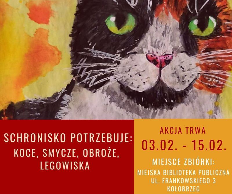 Zbiórka na rzecz kołobrzeskiego schroniska