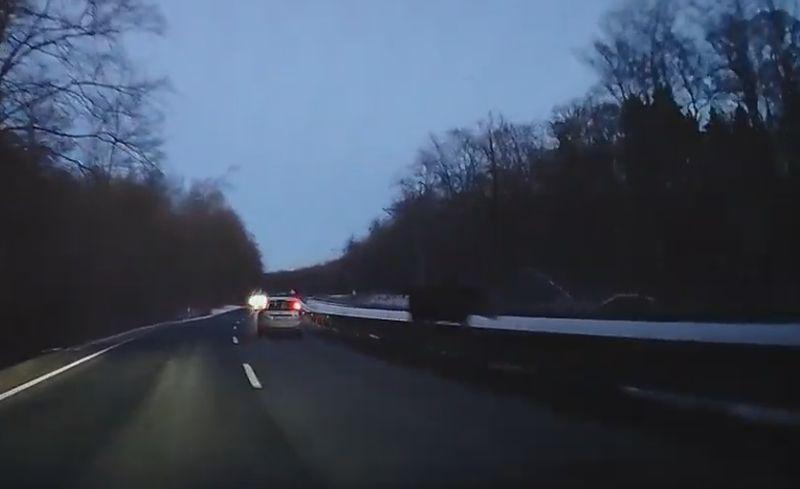 Łoś wbiegł prosto pod samochód. Cudem nie doszło do wypadku (wideo)