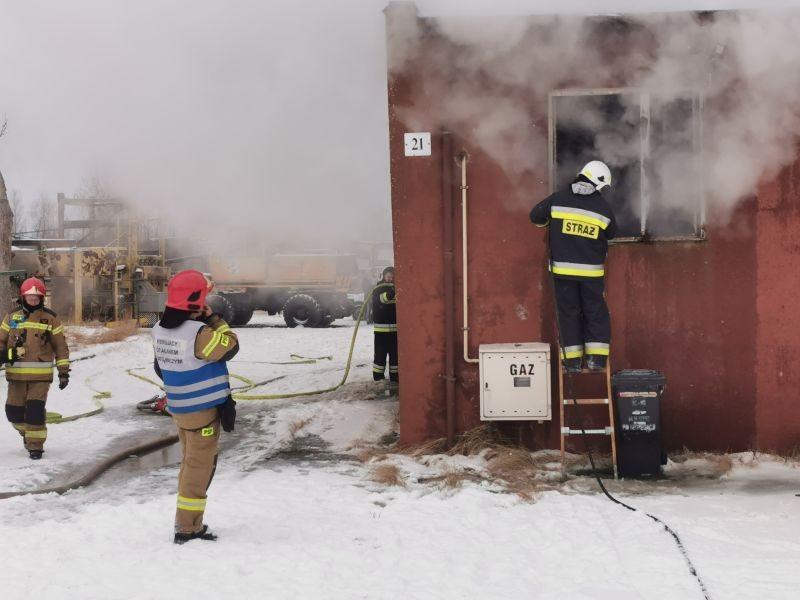 Pożar pod Kołobrzegiem. W akcji siedem zastępów straży (Foto)
