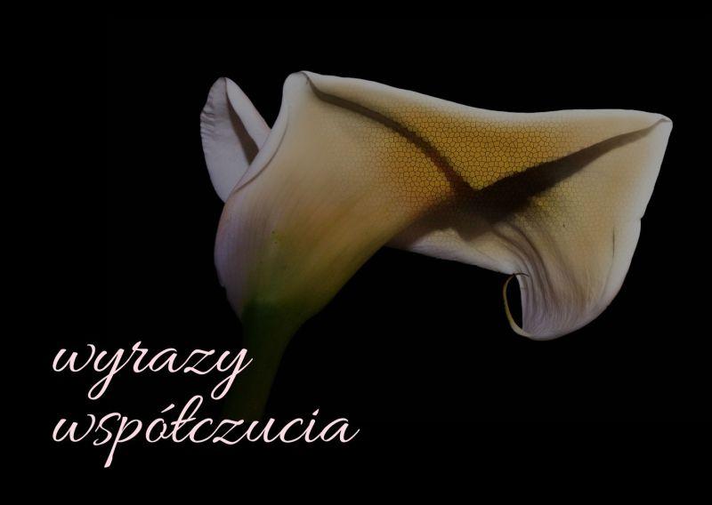 Wyrazy głębokiego współczucia...