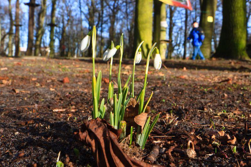 Meteo Kołobrzeg: Przed nami piękny, wiosenny dzień