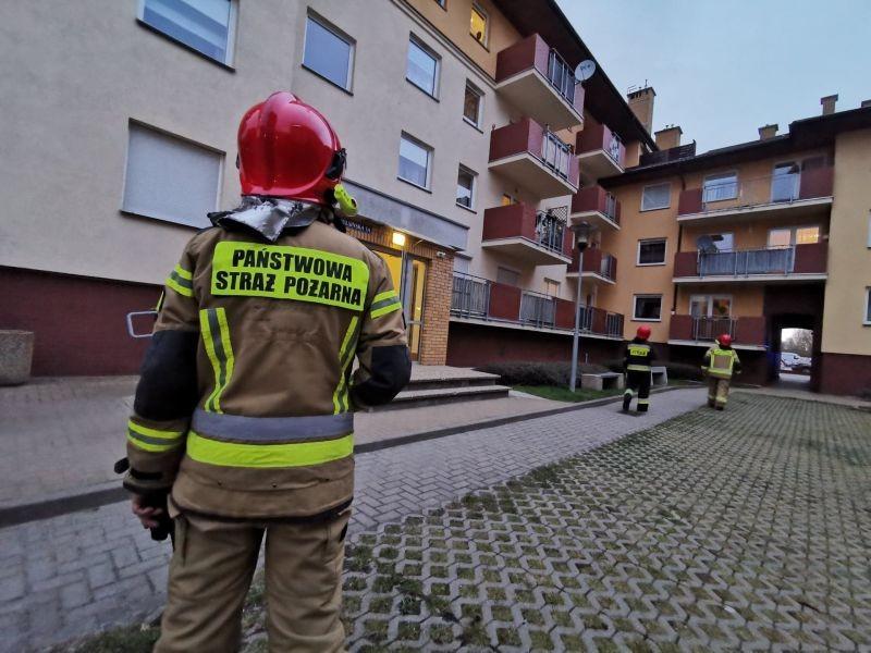 Dwie interwencje straży, dwa fałszywe alarmy