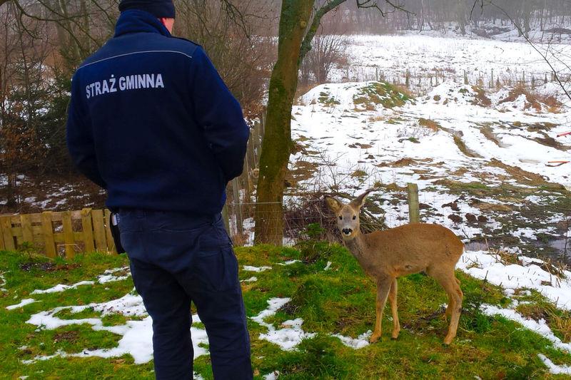 Kunszt kierowcy i dawka szczęścia uratowały go przed wypadkiem – zobaczcie nagranie