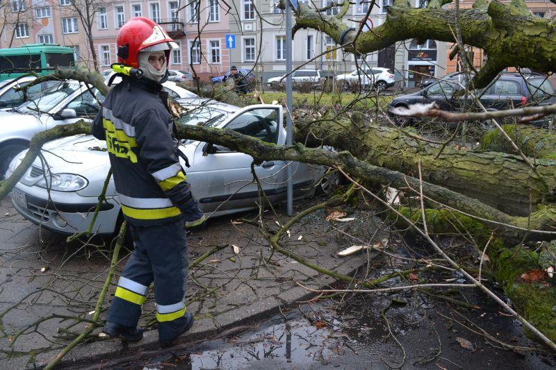 Uciekł z samochodu, na który spadło drzewo (Foto, Video)