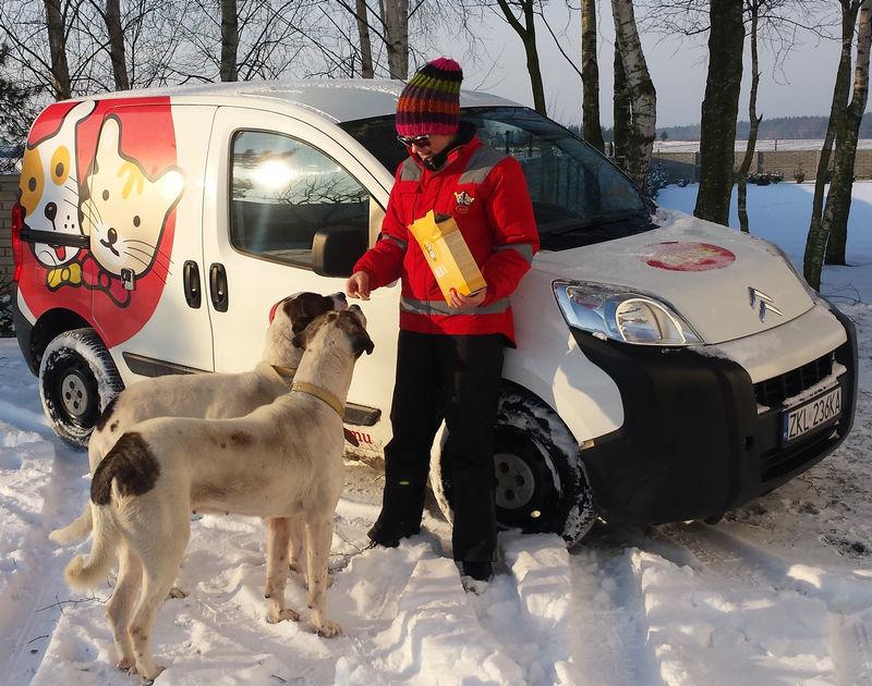 Dla właścicieli psów, kotów i koni