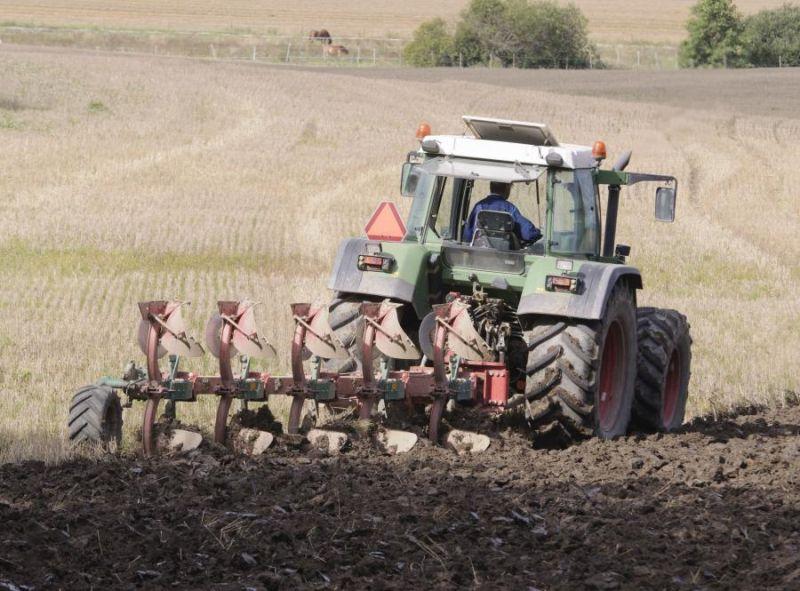 Premie dla młodych rolników
