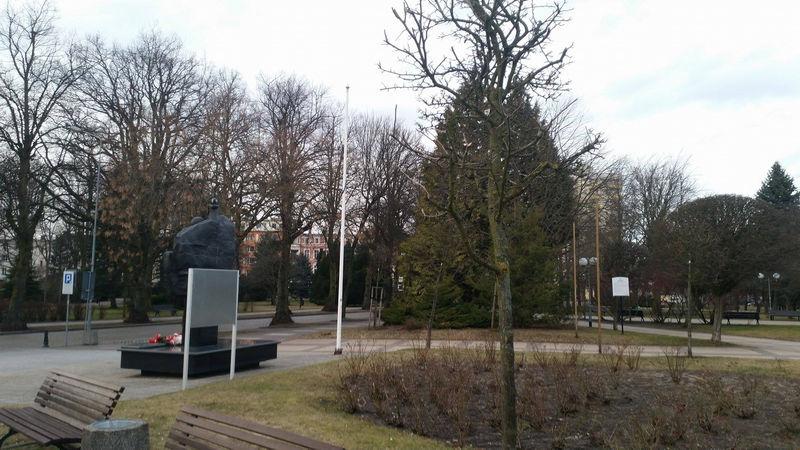Nowe drzewa w miejsce uschniętych