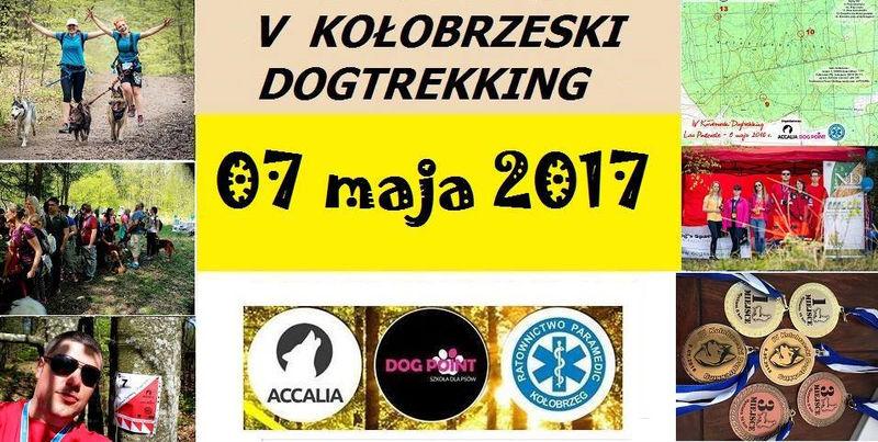 Ruszyły zapisy na kołobrzeski Dogtrekking