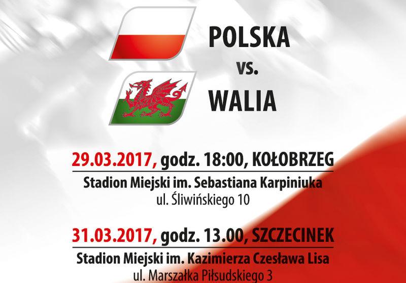 Mecz Polska - Walia z kompletem publiczności