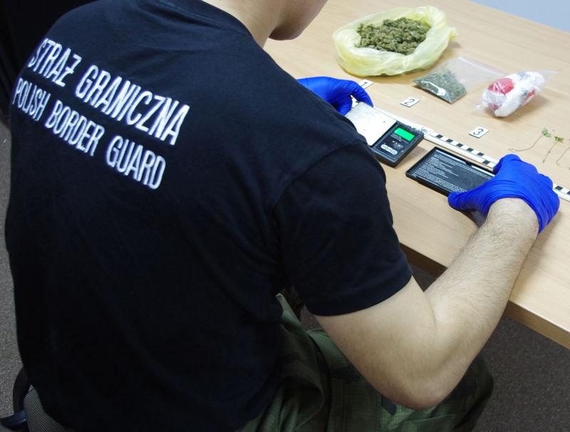 Marihuana w samochodzie i sadzonki konopi w domu