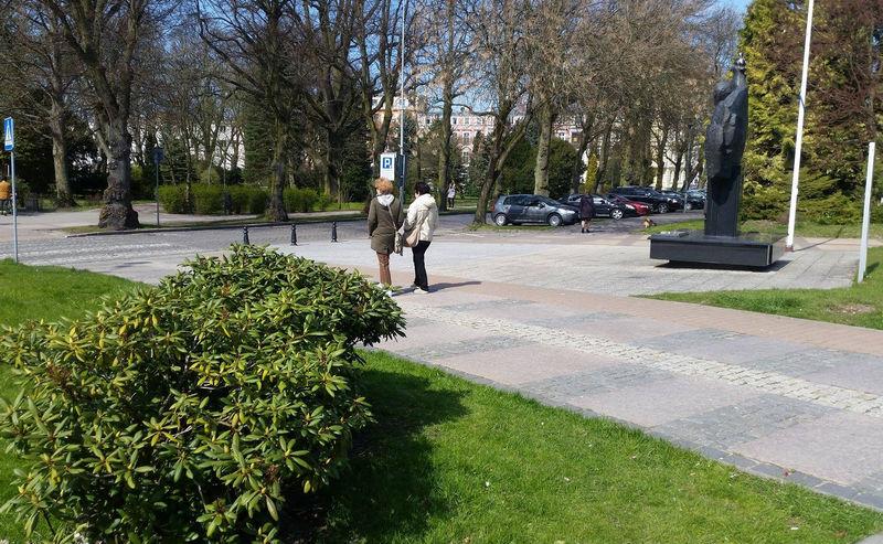 Obok pomnika Piłsudskiego miałby rosnąć dąb Witosa
