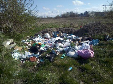Dzikie wysypiska dalej stanowią spory problem 