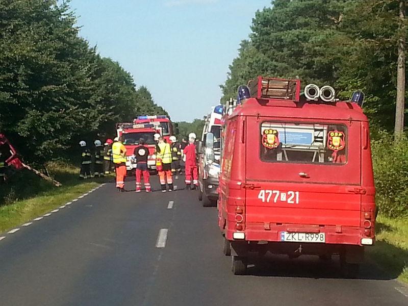 Wypadek na DW 102. Zginęło czterech mężczyzn