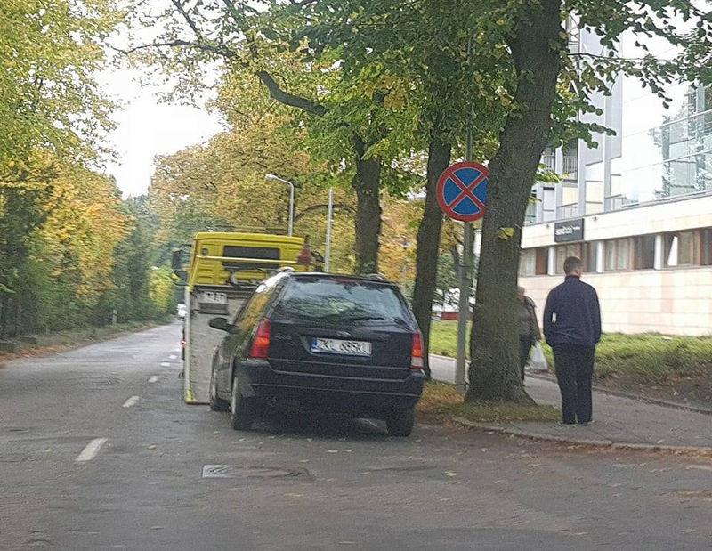 Ford zjechał z jezdni i uderzył w drzewo