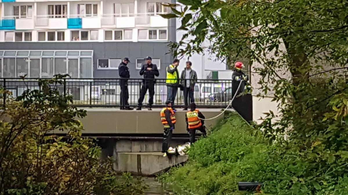 Zwłoki kobiety znalezione w Stamniczce