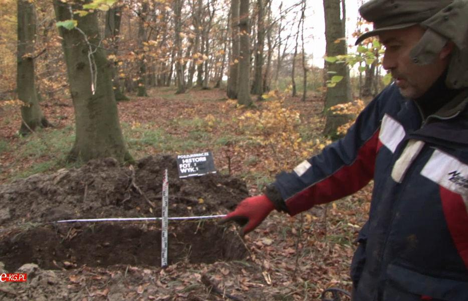 Ekipa badawcza w Lesie Kołobrzeskim. Naukowcy będą potwierdzać autentyczność unikatowego znaleziska