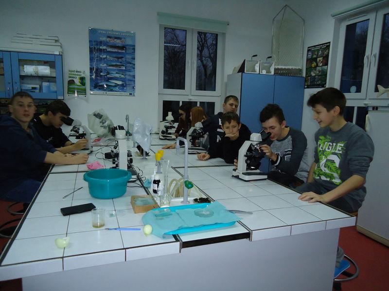 Warsztaty dla uczniów SP7