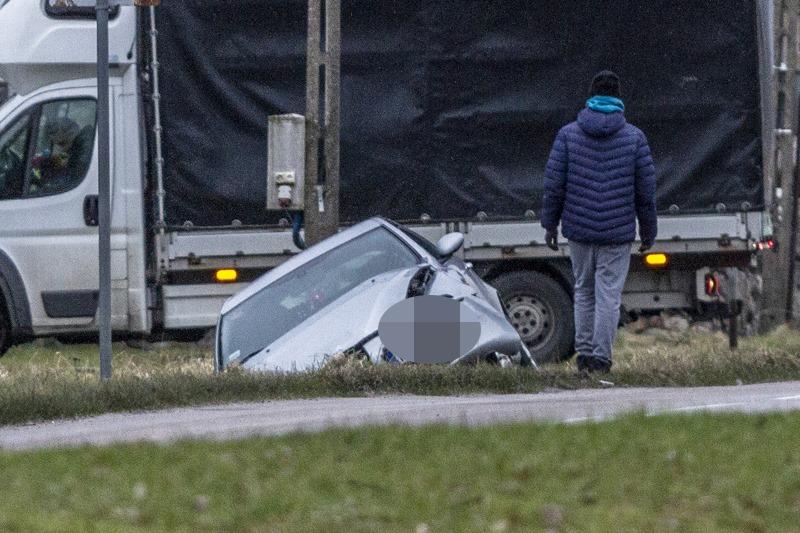 Alfa wylądowała w rowie