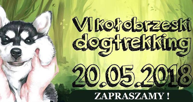 Ruszyły zapisy na kołobrzeski Dogtrekking