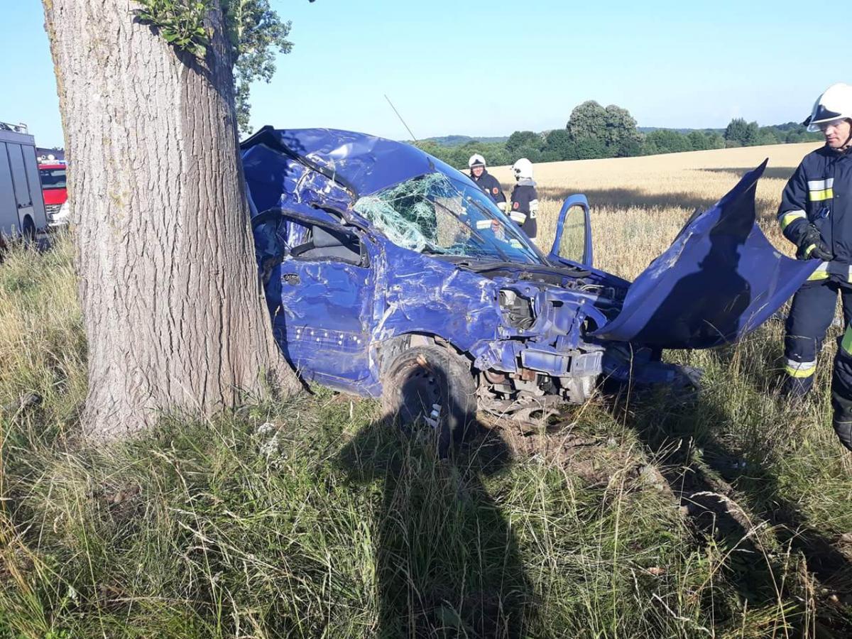 Zjechała z drogi uderzając w latarnię i drzewo